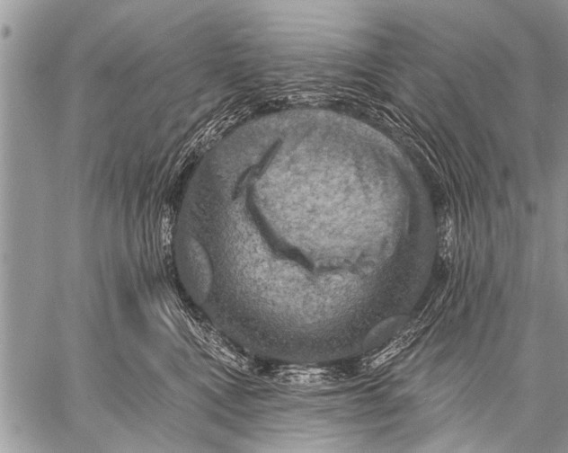 X0000057570472200510171647