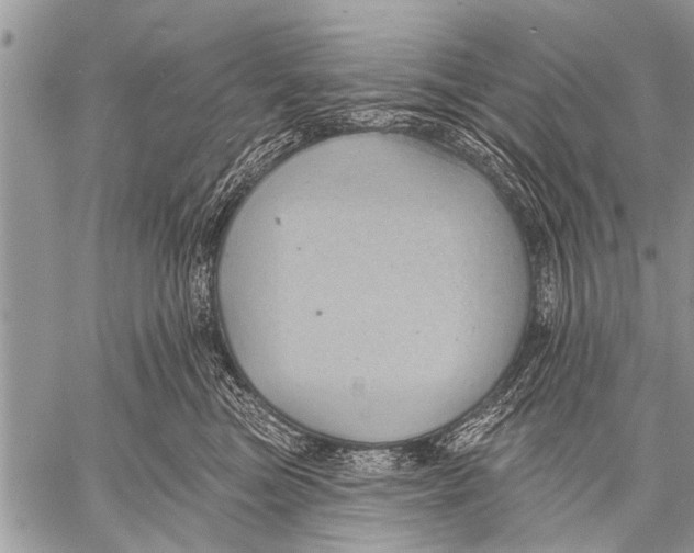 X0000057570473200510171647