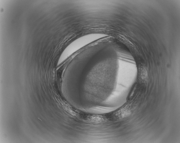 X0000057570475200510171647