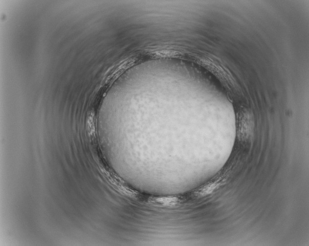 X0000057570478200510171647