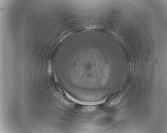 X0000057570479200510171647