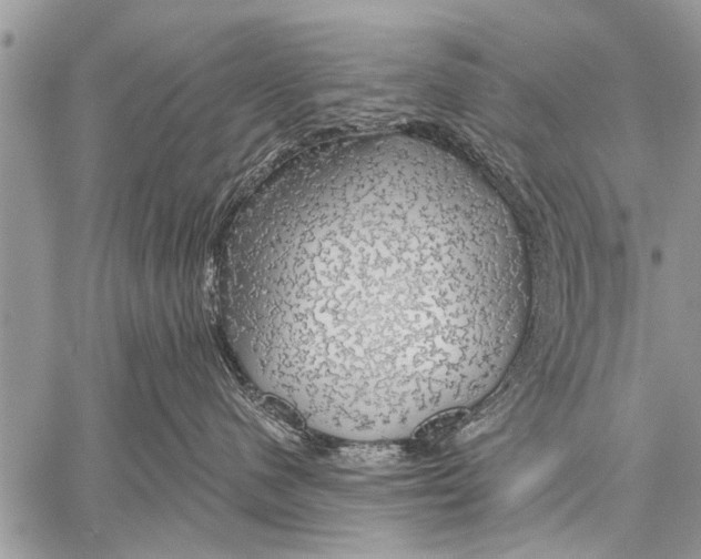 X0000057570480200510171647