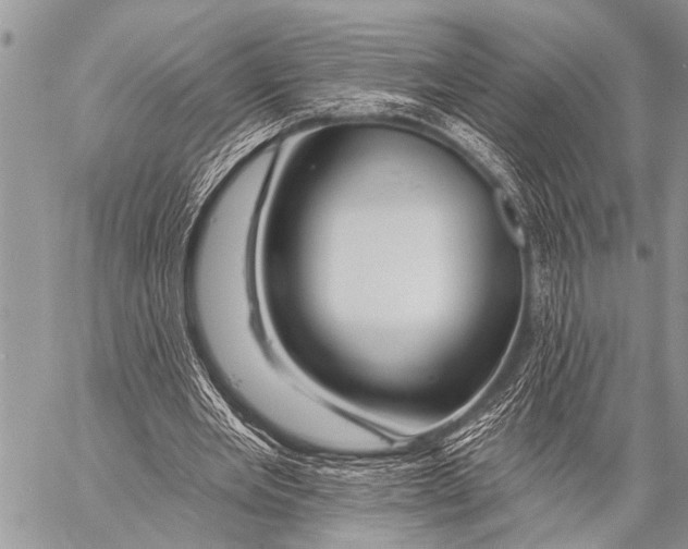 X0000057570485200510171646