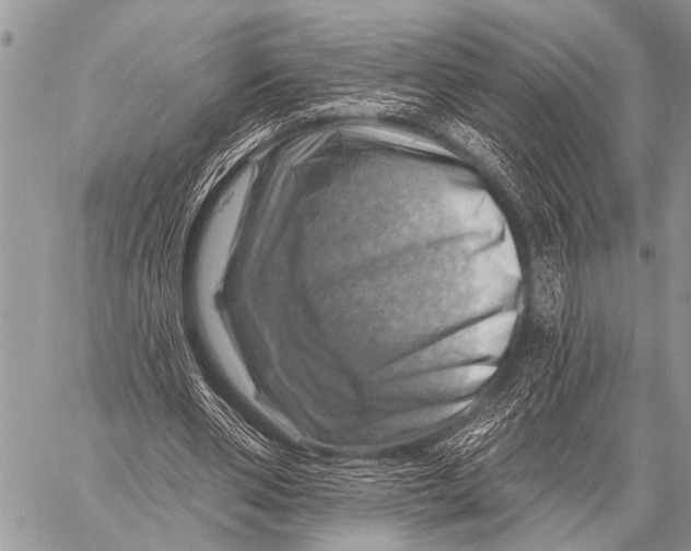 X0000057570486200510171646