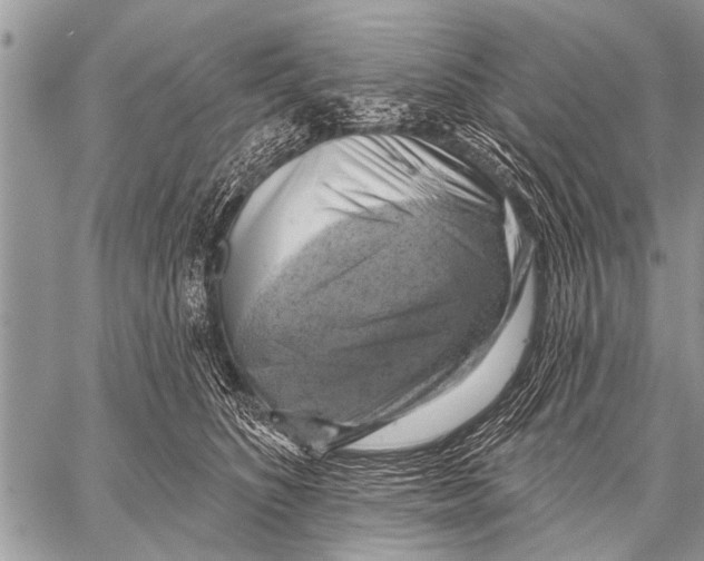 X0000057570516200510171646