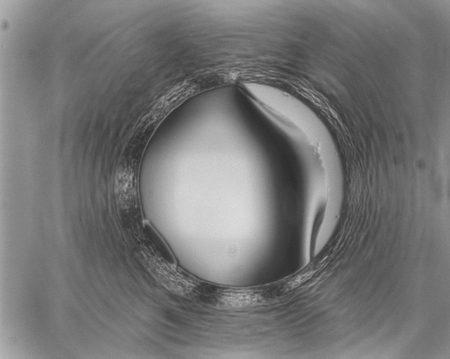X0000057570521200510171646