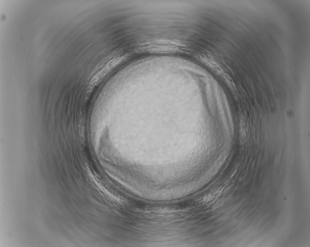 X0000057570533200510171645