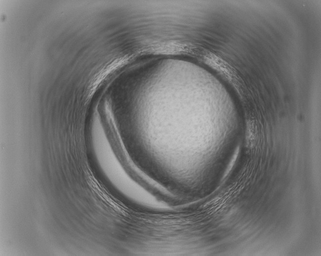 X0000057570535200510171645