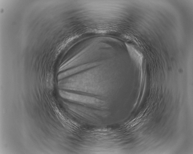 X0000057570540200510171645