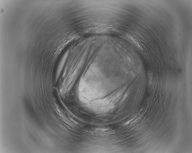 X0000057570542200510171645