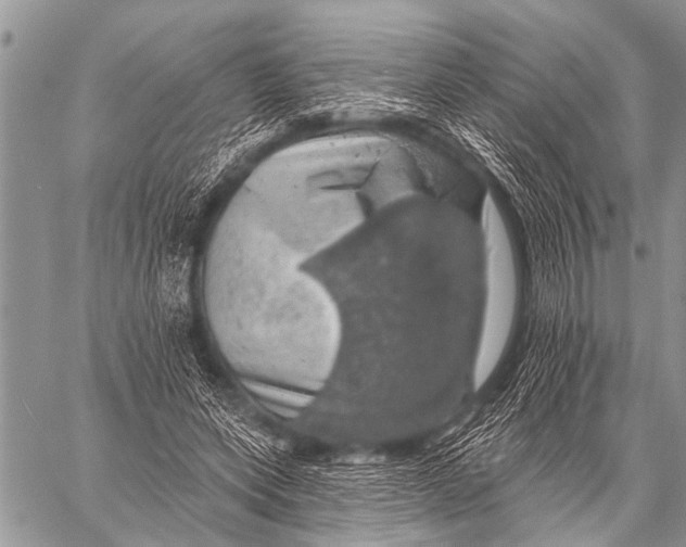 X0000057570543200510171645