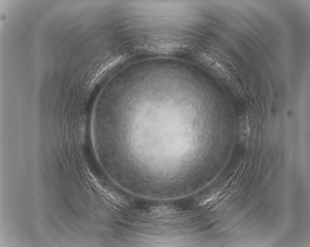 X0000057570544200510171645