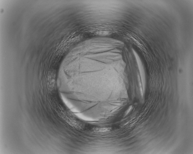 X0000057570553200510171645