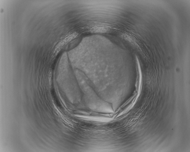 X0000057570586200510171645