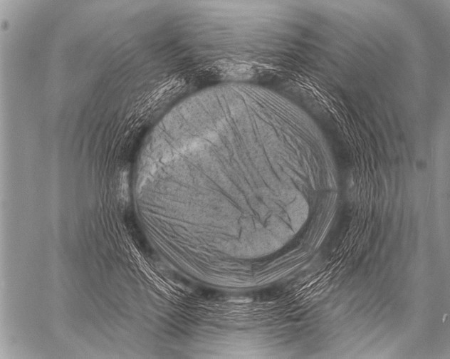 X0000057570598200510171644