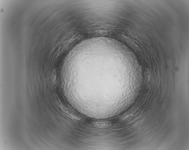 X0000057570615200510171644