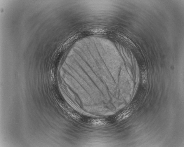 X0000057570618200510171644