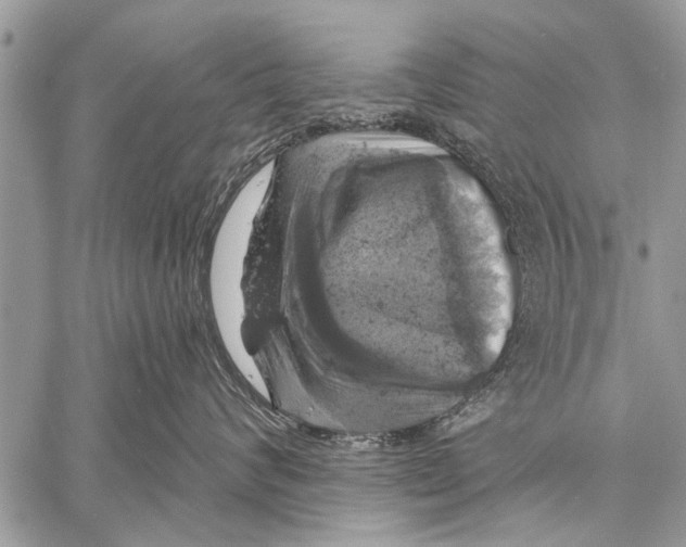 X0000057570624200510171644
