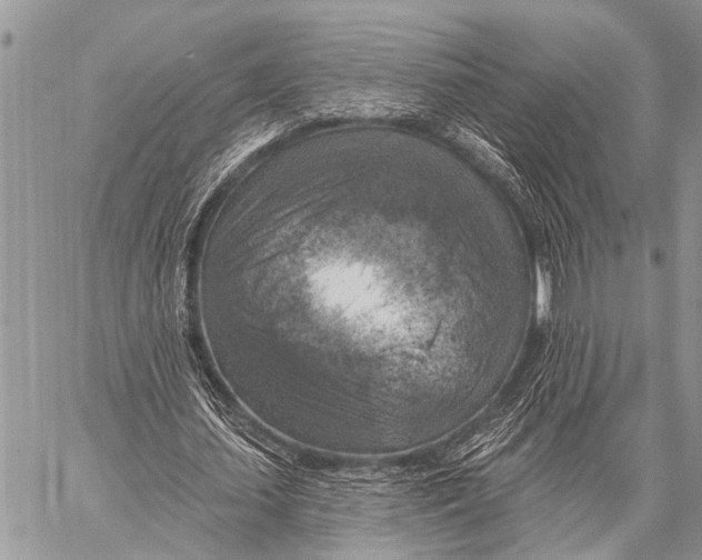 X0000057570627200510171643