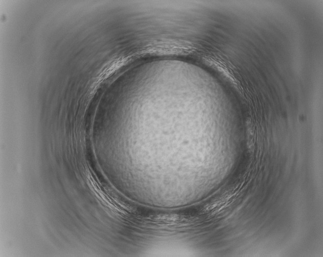 X0000057570631200510171643