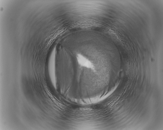X0000057570644200510171644