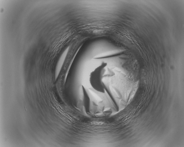 X0000057570650200510171644