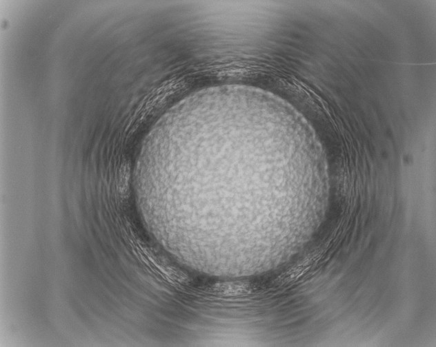 X0000057570660200510171644