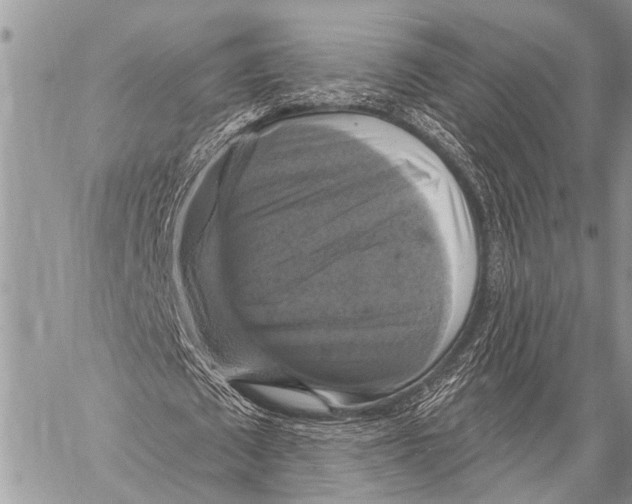 X0000057570673200510171643