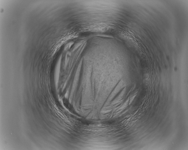 X0000057570688200510171643