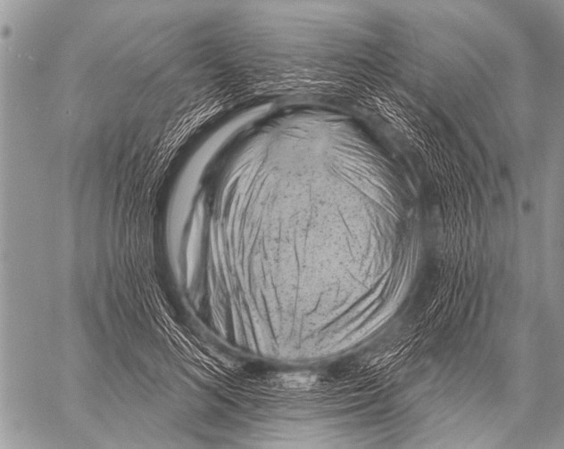 X0000057570692200510171643