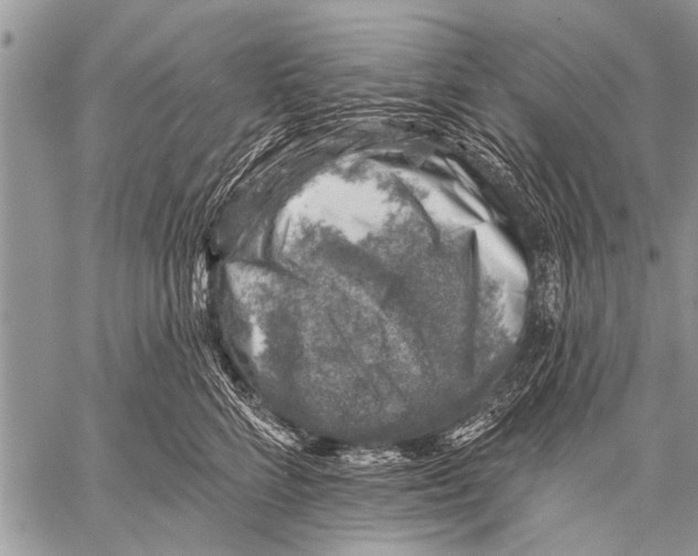 X0000057570712200510171643
