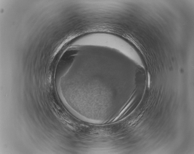 X0000057570723200510171642