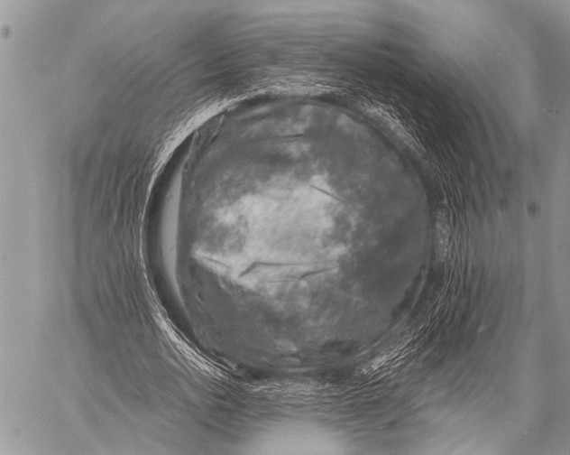 X0000057570726200510171642