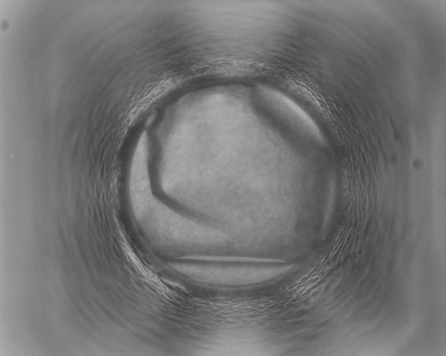 X0000057570730200510171642