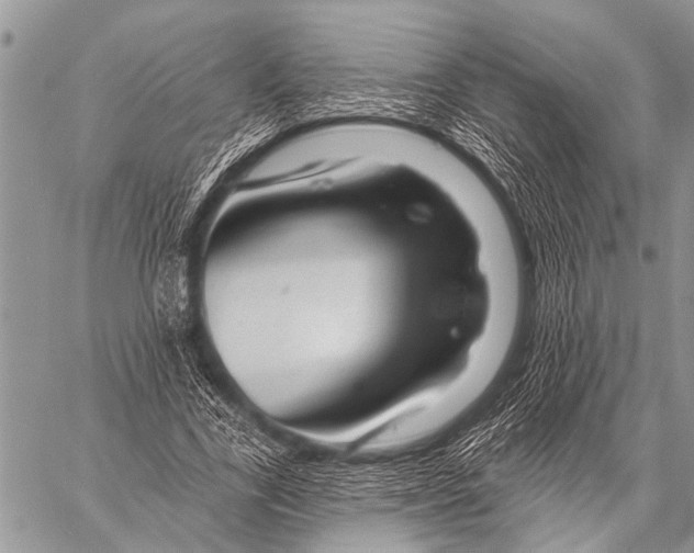 X0000057570731200510171642