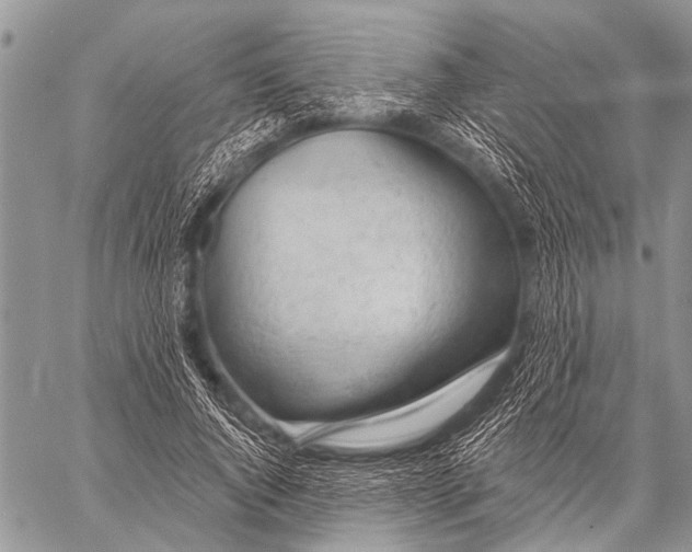 X0000057570736200510171642