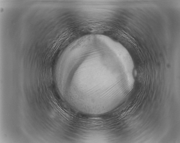 X0000057570748200510171642