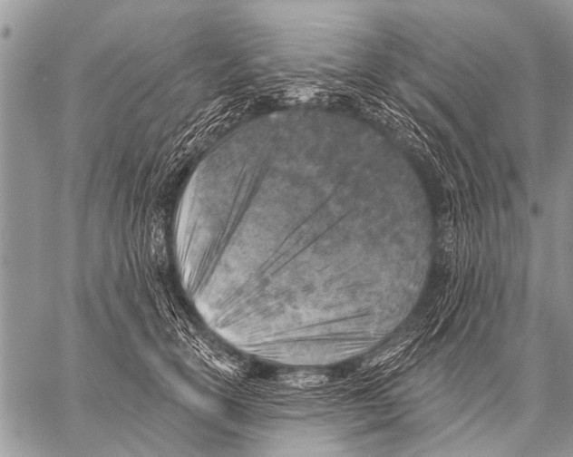 X0000057570754200510171642