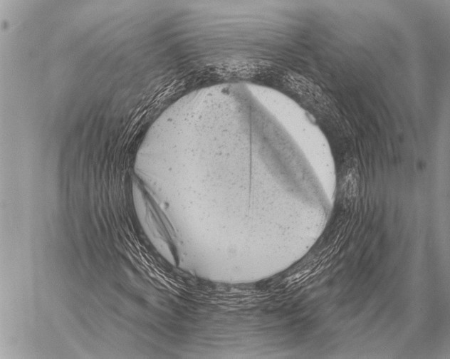 X0000057570772200510171642