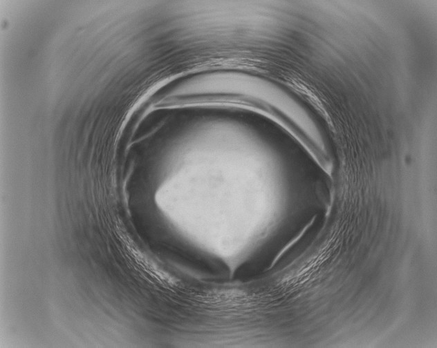 X0000057570784200510171641