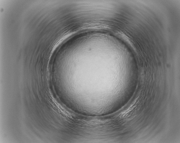X0000057570787200510171641