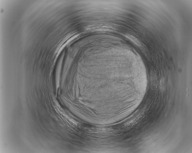 X0000057570790200510171641
