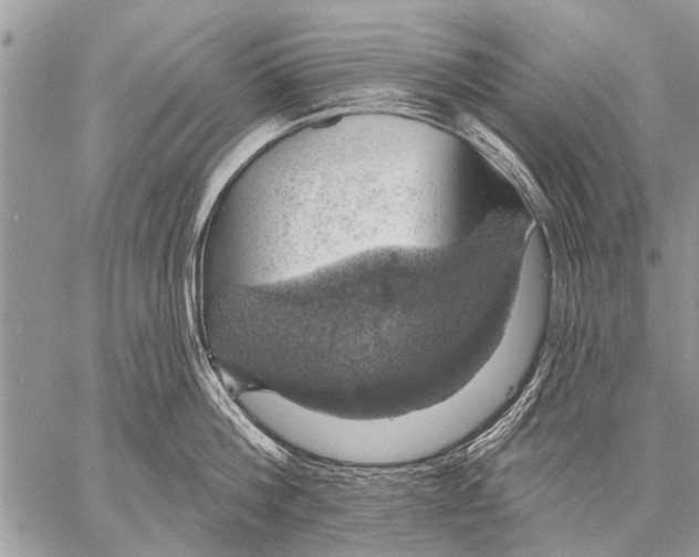 X0000057570812200510171641