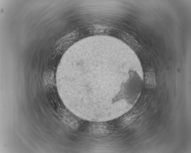 X0000057570820200510171640