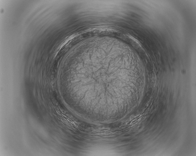 X0000057570823200510171640