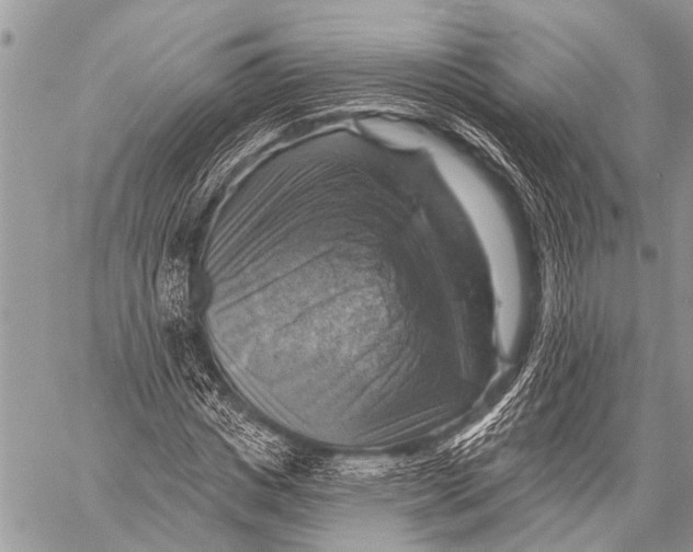 X0000057570825200510171640