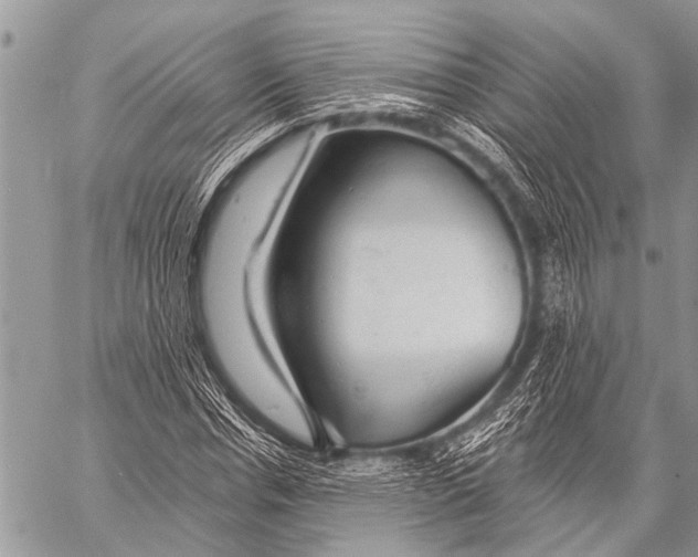 X0000057570826200510171640