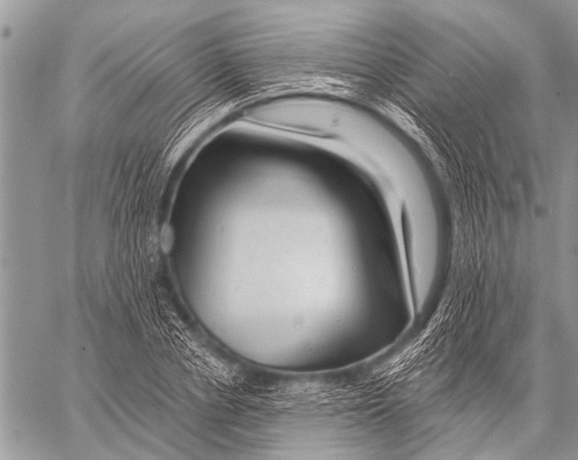 X0000057570834200510171640