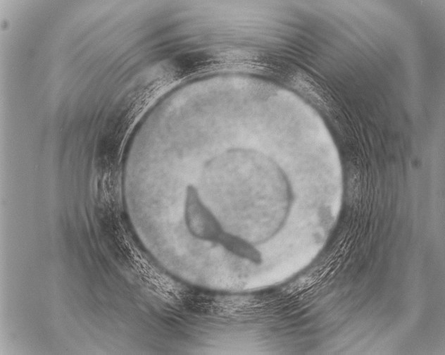 X0000057570836200510171640