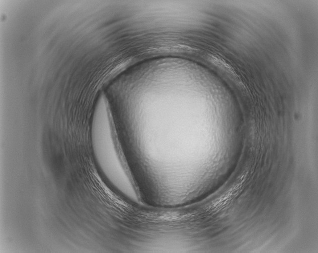 X0000057570841200510171640